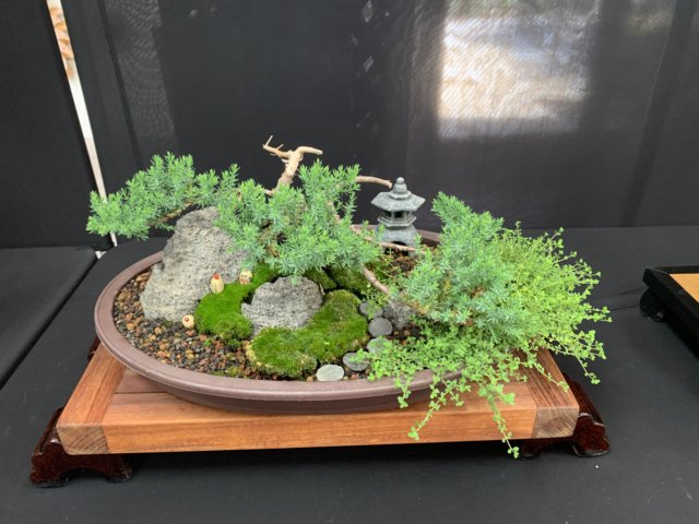 display3.jpg