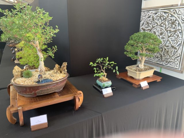 display6.jpg