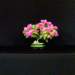 bonsai10_small.jpg