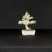 bonsai35_small.jpg
